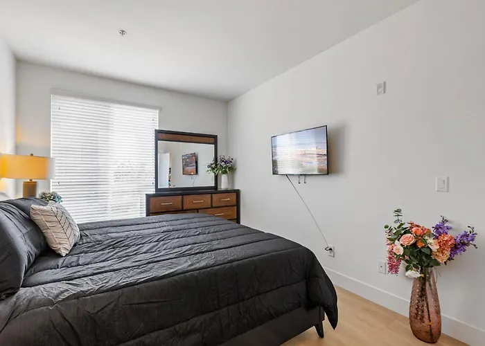 1 Luxury Apartment